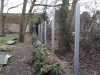 Fencing 13